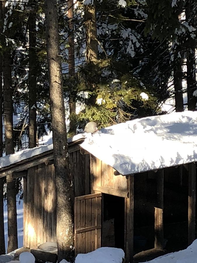 Th Borca Di Cadore - Park Hotel Des Dolomites Eksteriør billede